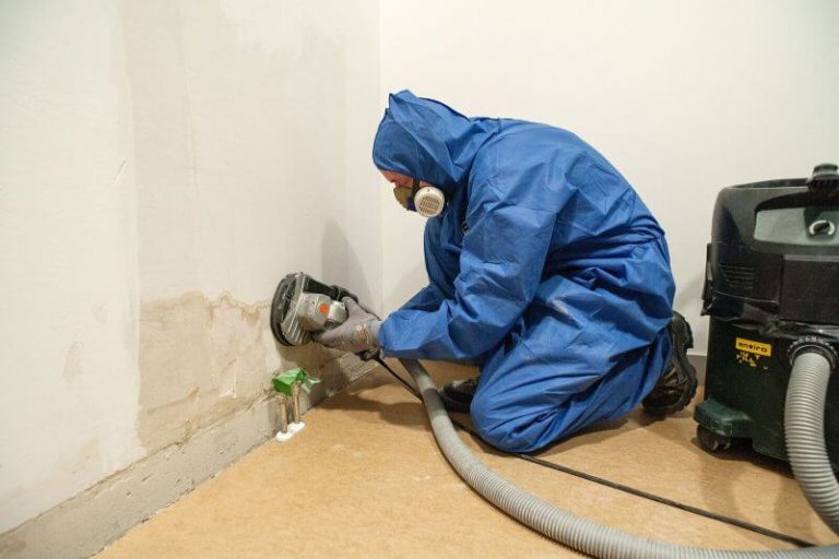 Mitarbeiter im Schutzanzug entfernt Schimmelbefall in einem Wohnraum